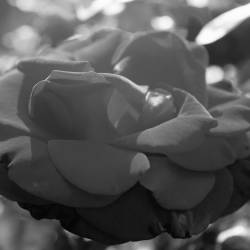 We Deserve This : You Need Me More Than You Should Do